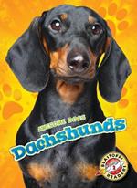 Dachshunds