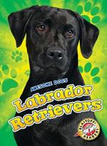 Labrador Retrievers