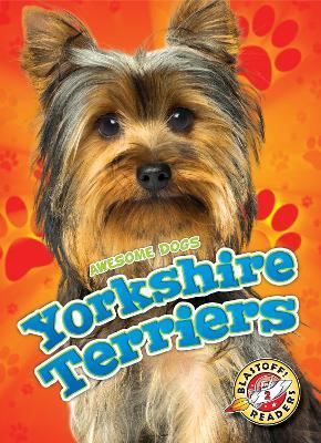 Yorkshire Terriers - Mari Schuh - cover