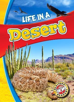 Life in a Desert - Kari Schuetz - cover