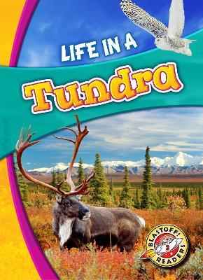 Life in a Tundra - Kari Schuetz - cover