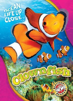 Clownfish - Kari Schuetz - cover