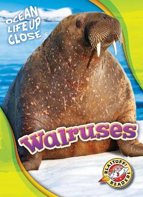 Walruses - Kari Schuetz - cover