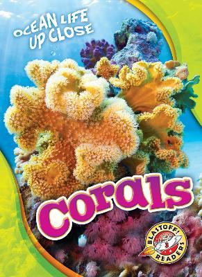 Corals - Mari Schuh - cover