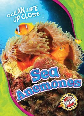 Sea Anemones - Mari Schuh - cover