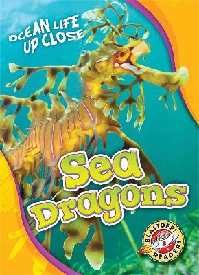 Sea Dragons - Heather Adamson - cover