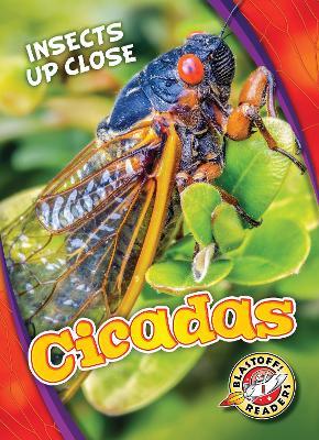 Cicadas - Christina Leaf - cover
