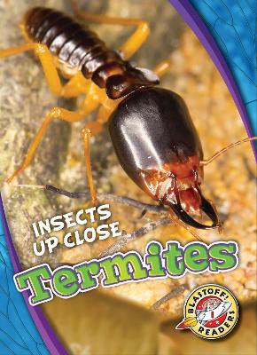 Termites - Patrick Perish - cover