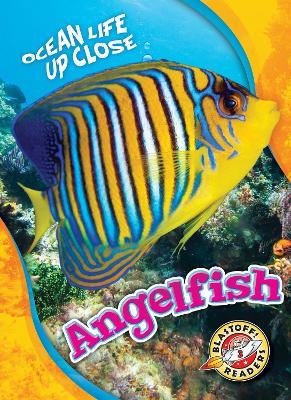 Angelfish - Nathan Sommer - cover