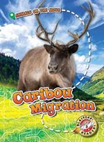 Caribou Migration