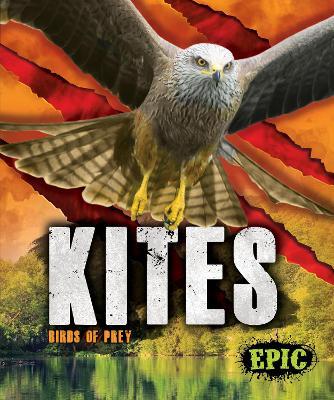 Kites - Nathan Sommer - cover