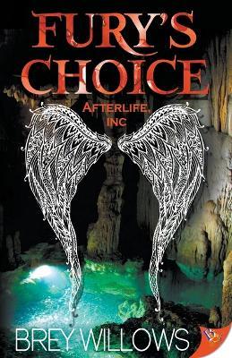 Fury's Choice - Brey Willows - cover