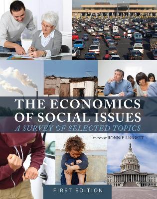 The Economics of Social Issues: A Survey of Selected Topics - cover