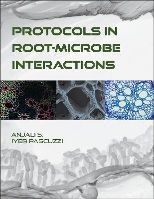 Protocols in Root-Microbe Interactions - Anjali S. Iyer-Pascuzzi - cover