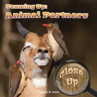Teaming Up: Animal Partners - Cassidy St James - cover