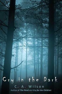 Cry in the Dark - C A Wilson - cover