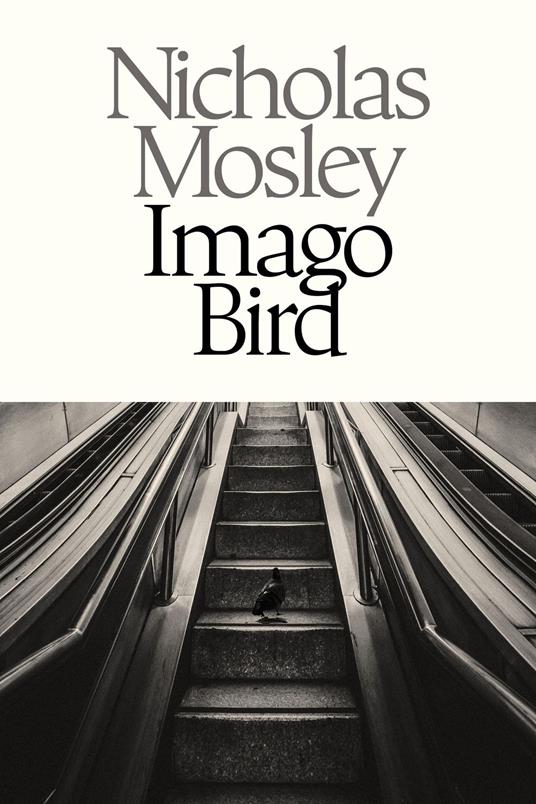 Imago Bird