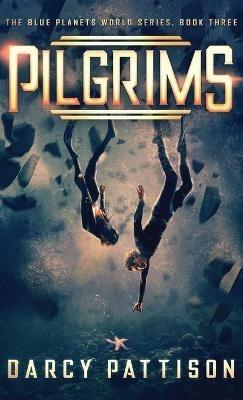 Pilgrims - Darcy Pattison - cover