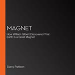 Magnet