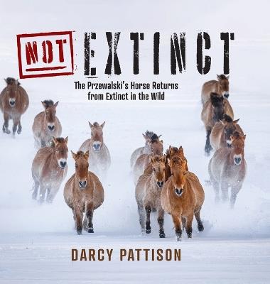 NOT Extinct: The Przewalski's Horse Returns from Extinct in the Wild - Darcy Pattison - cover
