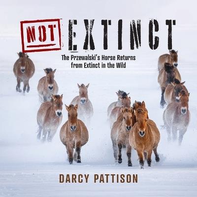 NOT Extinct: The Przewalski's Horse Returns from Extinct in the Wild - Darcy Pattison - cover