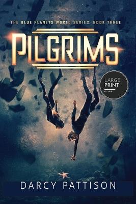 Pilgrims - Darcy Pattison - cover