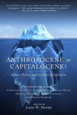 Anthropocene Or Capitalocene?: Nature, History, and the Crisis of Capitalism - cover