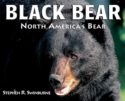 Black Bear - Stephen R. Swinburne - ebook