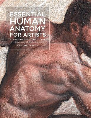 Essential Human Anatomy for Artists: A Complete Visual Guide to Drawing the Structures of the Living Form - Ken Goldman - cover