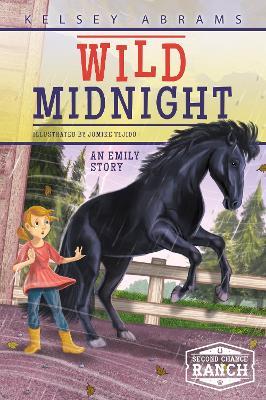 Wild Midnight: An Emily Story - Kelsey Abrams - cover