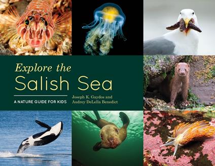 Explore the Salish Sea - Audrey DeLella Benedict,Joseph K. Gaydos - ebook