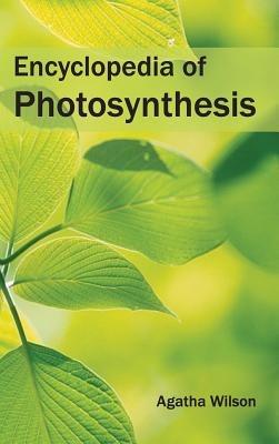 Encyclopedia of Photosynthesis - cover