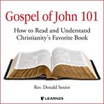 Gospel of John 101