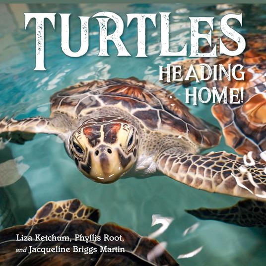 Turtles Heading Home! - Liza Ketchum,Jacqueline Martin,Phyllis Root - ebook