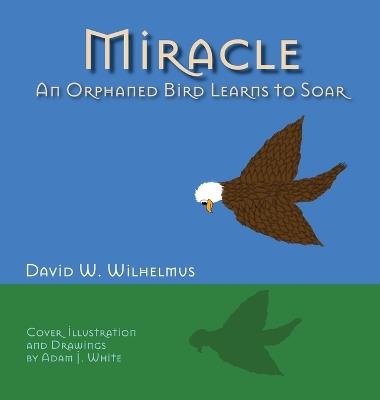 Miracle: An Orphaned Bird Learns To Soar - David W Wilhelmus - cover