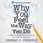 Why You Feel The Way You Do
