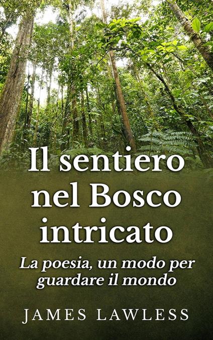 Il sentiero nel bosco intricato - James Lawless - ebook
