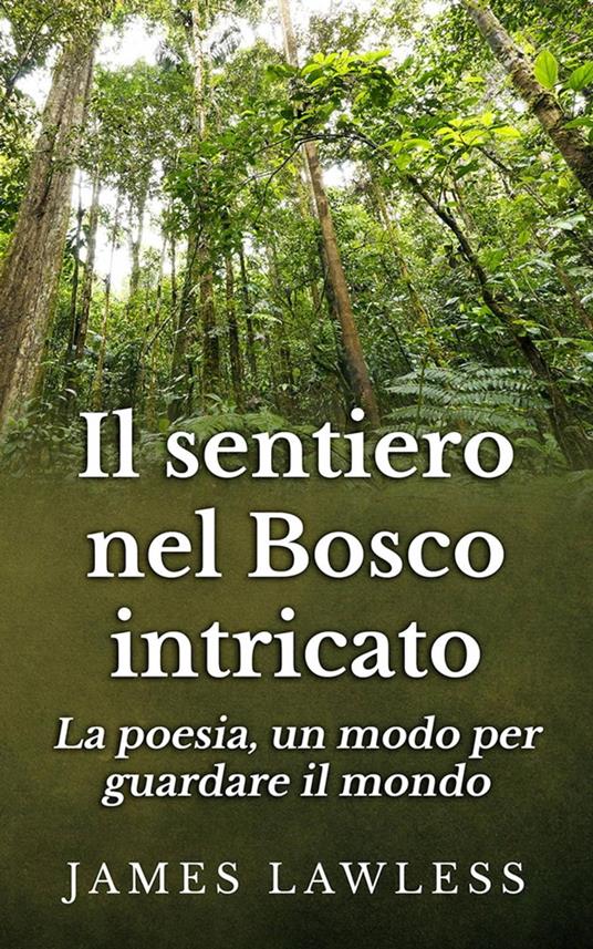Il sentiero nel bosco intricato - James Lawless - ebook