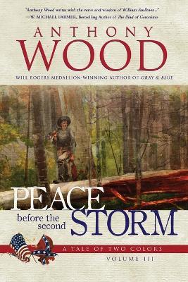 Peace Before the Second Storm: A Story of the Civil War - Anthony Wood - cover