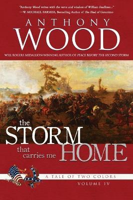The Storm That Carries Me Home: A Story of the Civil War - Anthony Wood - cover