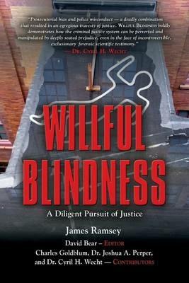 Willful Blindness: A Diligent Pursuit of Justice - James Ramsey - cover