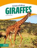 Animals of Africa: Giraffes