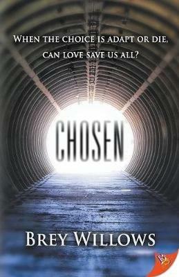 Chosen - Brey Willows - cover