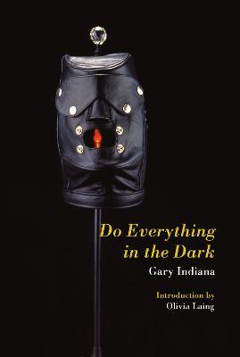 Do Everything in the Dark - Gary Indiana - cover