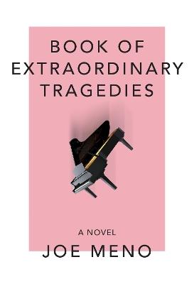 Book Of Extraordinary Tragedies - Joe Meno - cover