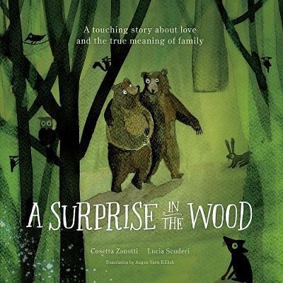 A Surprise in the Wood: A touching story of love and the true meaning of family. - Cosetta Zanotti - cover