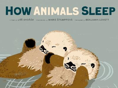 How Animals Sleep - Jiri Dvorak - cover