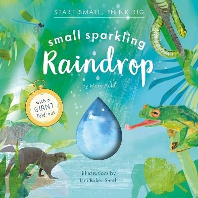 Small Sparkling Raindrop (Start Small, Think Big #5) - Mary Auld - cover