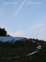 Sarah Sze: Fallen Sky