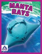 Giants of the Sea: Manta Rays